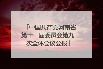 中国共产党河南省第十一届委员会第九次全体会议公报