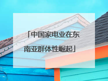 中国家电业在东南亚群体性崛起