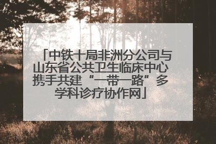 中铁十局非洲分公司与山东省公共卫生临床中心携手共建“一带一路”多学科诊疗协作网