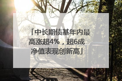 中长期债基年内最高涨超4%，超6成净值表现创新高