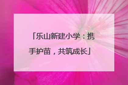 乐山新建小学：携手护苗，共筑成长