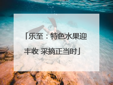 乐至：特色水果迎丰收 采摘正当时