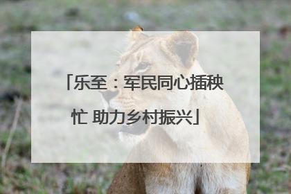 乐至：军民同心插秧忙 助力乡村振兴