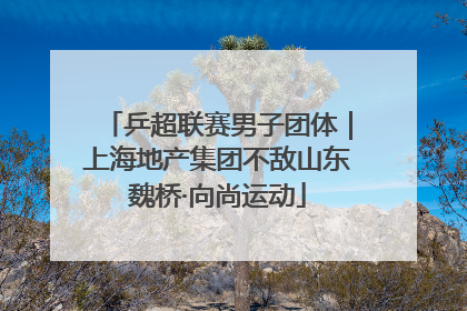 乒超联赛男子团体｜上海地产集团不敌山东魏桥·向尚运动