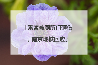 乘客被厕所门砸伤，南京地铁回应