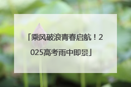 乘风破浪青春启航！2025高考雨中即景