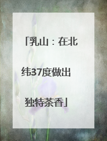 乳山：在北纬37度做出独特茶香