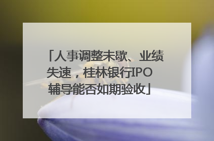 人事调整未歇、业绩失速，桂林银行IPO辅导能否如期验收