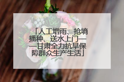 人工增雨、抢墒播种、送水上门——甘肃全力抗旱保障群众生产生活