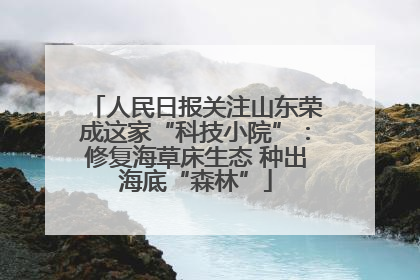 人民日报关注山东荣成这家“科技小院”：修复海草床生态 种出海底“森林”