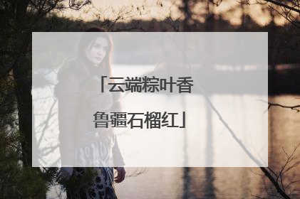 云端粽叶香 鲁疆石榴红