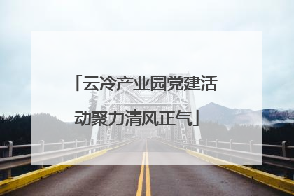 云冷产业园党建活动聚力清风正气