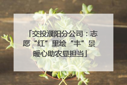 交投濮阳分公司：志愿“红”里绘“丰”景 暖心助农显担当