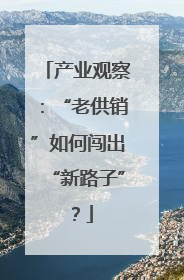 产业观察：“老供销”如何闯出“新路子”？