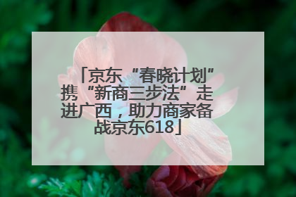 京东“春晓计划”携“新商三步法”走进广西，助力商家备战京东618