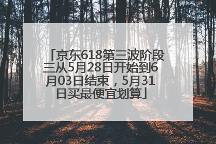 京东618第三波阶段三从5月28日开始到6月03日结束，5月31日买最便宜划算