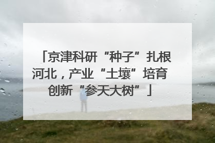 京津科研“种子”扎根河北，产业“土壤”培育创新“参天大树”