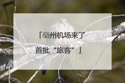 亳州机场来了首批“旅客”