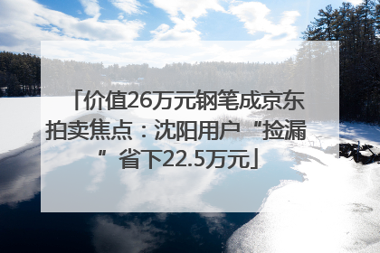 价值26万元钢笔成京东拍卖焦点：沈阳用户“捡漏”省下22.5万元