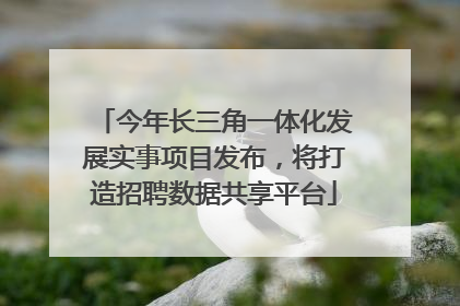 今年长三角一体化发展实事项目发布，将打造招聘数据共享平台