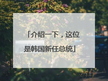 介绍一下，这位是韩国新任总统