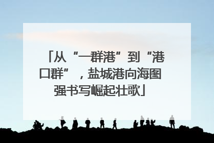 从“一群港”到“港口群”，盐城港向海图强书写崛起壮歌