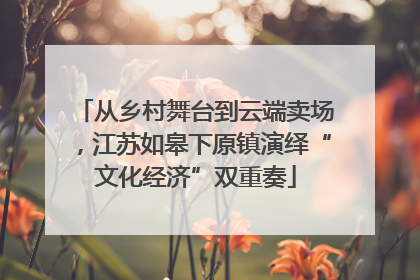 从乡村舞台到云端卖场，江苏如皋下原镇演绎“文化经济”双重奏