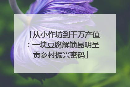 从小作坊到千万产值：一块豆腐解锁昆明呈贡乡村振兴密码
