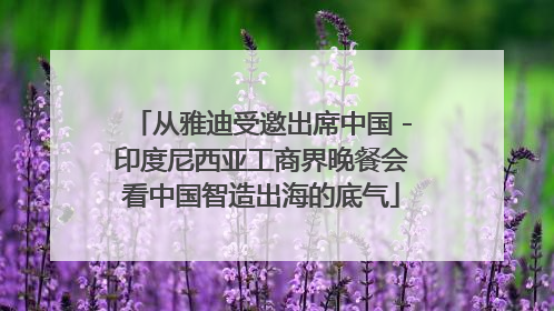 从雅迪受邀出席中国－印度尼西亚工商界晚餐会看中国智造出海的底气