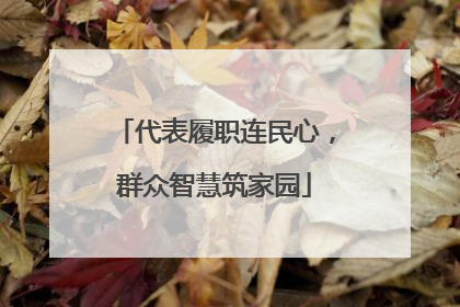 代表履职连民心，群众智慧筑家园