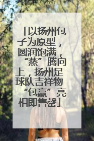 以扬州包子为原型，圆润饱满，“蒸”腾向上，扬州足球队吉祥物“包赢”亮相即售罄