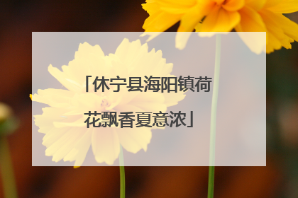 休宁县海阳镇荷花飘香夏意浓