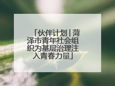伙伴计划│菏泽市青年社会组织为基层治理注入青春力量