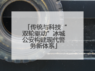 传统与科技“双轮驱动”冰城公安构建现代警务新体系