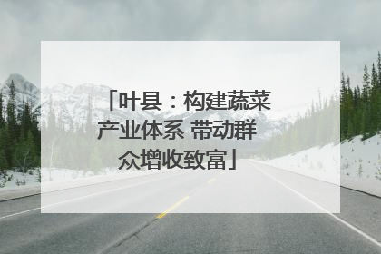 叶县：构建蔬菜产业体系 带动群众增收致富