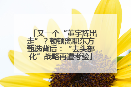 又一个“董宇辉出走”？顿顿离职东方甄选背后：“去头部化”战略再遭考验