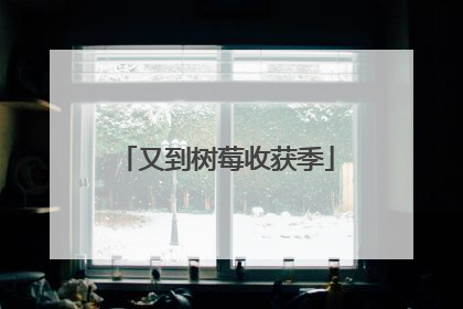 又到树莓收获季