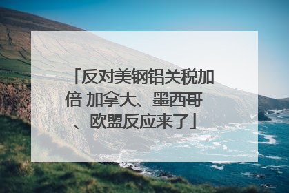 反对美钢铝关税加倍 加拿大、墨西哥、欧盟反应来了