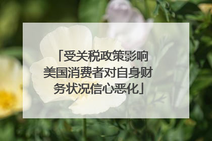 受关税政策影响 美国消费者对自身财务状况信心恶化