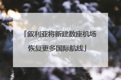 叙利亚将新建数座机场 恢复更多国际航线