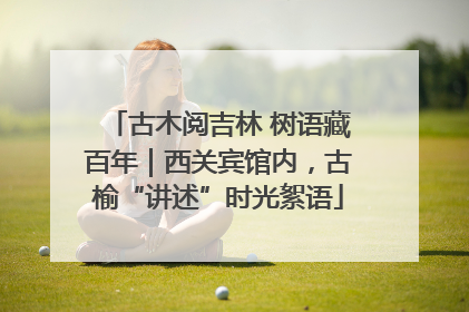 古木阅吉林 树语藏百年｜西关宾馆内，古榆“讲述”时光絮语