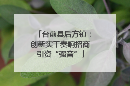 台前县后方镇：创新实干奏响招商引资“强音”
