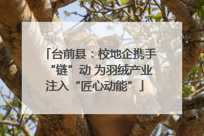 台前县：校地企携手“链”动 为羽绒产业注入“匠心动能”
