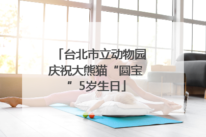台北市立动物园庆祝大熊猫“圆宝”5岁生日