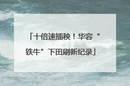 十倍速插秧！华容“铁牛”下田刷新纪录