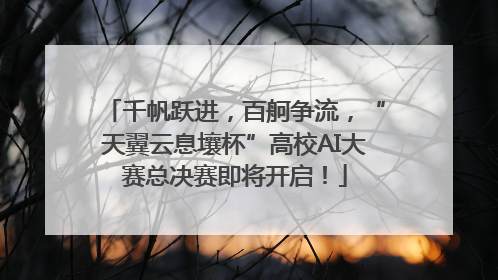 千帆跃进，百舸争流，“天翼云息壤杯”高校AI大赛总决赛即将开启！