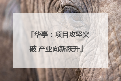 华亭：项目攻坚突破 产业向新跃升