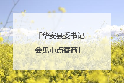 华安县委书记会见重点客商