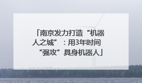 南京发力打造“机器人之城”：用3年时间“强攻”具身机器人