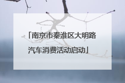 南京市秦淮区大明路汽车消费活动启动